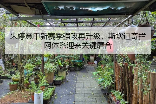 朱婷意甲新赛季强攻再升级，斯坎迪奇拦网体系迎来关键磨合
