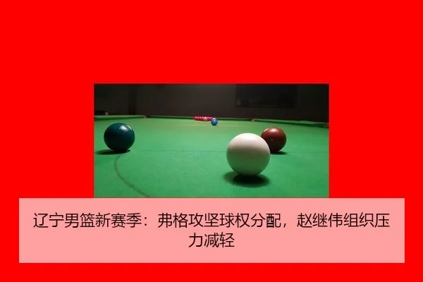liao-ning-nan-lan-xin-sai-ji-fu-ge-gong-jian-qiu-quan-fen-pei-zhao-ji-wei-zu-zhi-ya-li-jian-qing-3-950.jpg