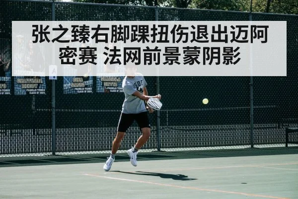 张之臻右脚踝扭伤退出迈阿密赛 法网前景蒙阴影